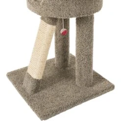 Frisco 24-in Real Carpet Cat Scratching Perch With Toy -Cat Dog Supply Store 208960 PT4. AC SS1800 V1589221657