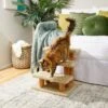 Frisco 20-in 3-Step Real Carpet Wooden Cat Steps -Cat Dog Supply Store 208966 MAIN. AC SS1800 V1602682013