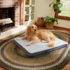 Frisco Cooling Orthopedic Pillow Dog Bed W/Removable Cover -Cat Dog Supply Store 210223 MAIN. AC SS1800 V1590067616