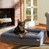 Frisco Orthopedic Rectangular Bolster Cat & Dog Bed W/Removable Cover -Cat Dog Supply Store 210226 MAIN. AC SS1800 V1590067652