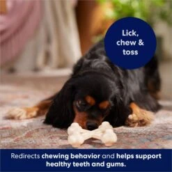 Frisco Chicken Flavor Tough Nylon Dog Chew Toy -Cat Dog Supply Store 213432 PT5. AC SS1800 V1691784031