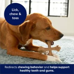 Frisco Peanut Butter Flavor Tough Nylon Dog Chew Toy -Cat Dog Supply Store 213436 PT5. AC SS1800 V1692019972