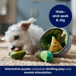 Frisco Guacamole Hide & Seek Puzzle Plush Squeaky Dog Toy -Cat Dog Supply Store 213830 PT5. AC SS1800 V1695748356