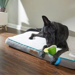 Frisco Summer Fun Margarita Plush & Rope Dog Toy -Cat Dog Supply Store 214679 PT6. AC SS1800 V1597596393