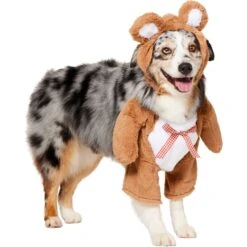 Frisco Front Walking Teddy Bear Dog & Cat Costume -Cat Dog Supply Store 215507 PT3. AC SS1800 V1624402415