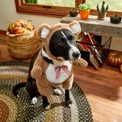 Frisco Front Walking Teddy Bear Dog & Cat Costume -Cat Dog Supply Store 215507 PT8. AC SS1800 V1689628224