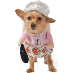 Frisco Front Walking Granny Dog & Cat Costume -Cat Dog Supply Store 215577 PT4. AC SS1800 V1625077372