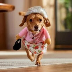 Frisco Front Walking Granny Dog & Cat Costume -Cat Dog Supply Store 215577 PT8. AC SS1800 V1689621333