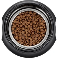 Frisco Stainless Steel Bowl With Elevated Stand -Cat Dog Supply Store 216020 PT4. AC SS1800 V1591020427