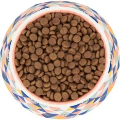 Frisco Colorful Geometric Melamine Bowl -Cat Dog Supply Store 216054 PT4. AC SS1800 V1591020757