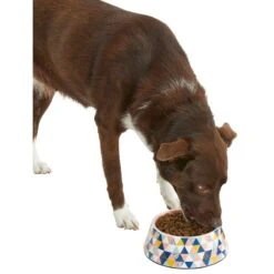 Frisco Colorful Geometric Melamine Bowl -Cat Dog Supply Store 216054 PT6. AC SS1800 V1605658026