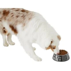 Frisco Doggie Melamine Bowl -Cat Dog Supply Store 216062 PT6. AC SS1800 V1605663429