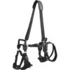 Frisco Front & Rear Lift Handicapped Support Dog Harness -Cat Dog Supply Store 220372 MAIN. AC SS1800 V1596501363