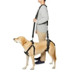 Frisco Front & Rear Lift Handicapped Support Dog Harness -Cat Dog Supply Store 220372 PT6. AC SS1800 V1605758261