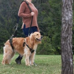 Frisco Front & Rear Lift Handicapped Support Dog Harness -Cat Dog Supply Store 220372 PT7. AC SS1800 V1605738439