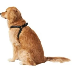 Frisco Nylon Step In Back Clip Dog Harness -Cat Dog Supply Store 220519 PT3. AC SS1800 V1605593555