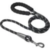 Frisco Rope Dog Leash With Padded Handle -Cat Dog Supply Store 221218 MAIN. AC SS1800 V1701796765