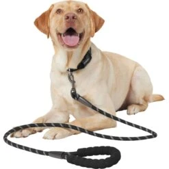 Frisco Rope Dog Leash With Padded Handle -Cat Dog Supply Store 221218 PT3. AC SS1800 V1701796765