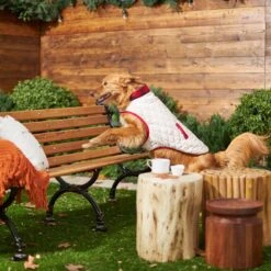 Frisco Quilted Water-Resistant Reversible Insulated Dog & Cat Jacket 15 Frisco Quilted Water-Resistant Reversible Insulated Dog & Cat Jacket -Cat Dog Supply Store 223922 PT7. AC SS1800 V1601579158