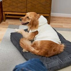 Frisco Plush Fur Dog & Cat Hoodie 17 Frisco Plush Fur Dog & Cat Hoodie -Cat Dog Supply Store 224209 PT7. AC SS1800 V1637685435