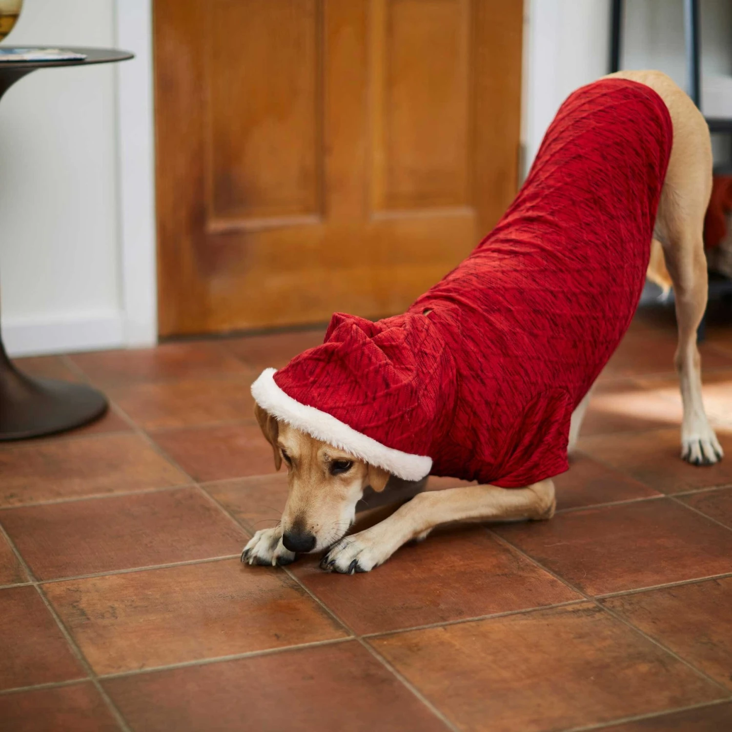 Frisco Textured Knit Dog & Cat Hoodie 9 Frisco Textured Knit Dog & Cat Hoodie - Image 7