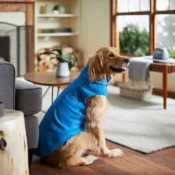 Frisco Ultra Lightweight Basic Dog & Cat Fleece Vest -Cat Dog Supply Store 224316 PT7. AC SS1800 V1599924439