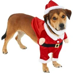 Frisco Front Walking Santa Dog & Cat Costume, 1 Count -Cat Dog Supply Store 228785 PT3. AC SS1800 V1631300866