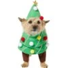 Frisco Front Walking Christmas Tree Dog & Cat Costume -Cat Dog Supply Store 229164 MAIN. AC SS1800 V1631300529