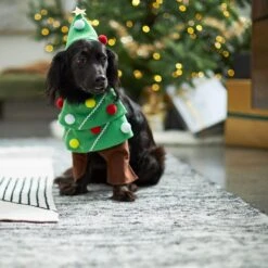 Frisco Front Walking Christmas Tree Dog & Cat Costume -Cat Dog Supply Store 229164 PT7. AC SS1800 V1601385981