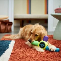 Frisco Retro Whack It! Ballistic Nylon Plush Squeaky Dog Toy -Cat Dog Supply Store 230302 PT3. AC SS1800 V1601947283