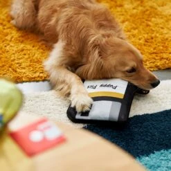 Frisco Retro Floppy Disc Ballistic Nylon Plush Squeaky Dog Toy -Cat Dog Supply Store 230304 PT3. AC SS1800 V1602639753