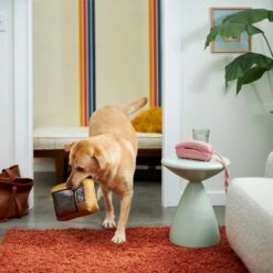 Frisco Retro Television Ballistic Nylon Plush Squeaky Dog Toy -Cat Dog Supply Store 230308 PT3. AC SS1800 V1601947325