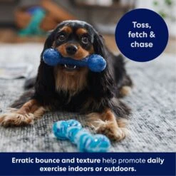 Frisco Retro Denim & Swirl TPR Bone Squeaky Dog Toy -Cat Dog Supply Store 230341 PT4. AC SS1800 V1695748896