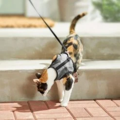 Frisco Wrap Cat Harness 14 Frisco Wrap Cat Harness -Cat Dog Supply Store 230691 PT5. AC SS1800 V1601096758