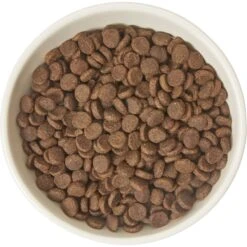 Frisco Double-Sided Ceramic Elevated Cat Bowl 11 Frisco Double-Sided Ceramic Elevated Cat Bowl -Cat Dog Supply Store 232081 PT3. AC SS1800 V1605145964