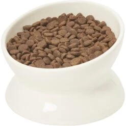 Frisco Double-Sided Ceramic Elevated Cat Bowl 12 Frisco Double-Sided Ceramic Elevated Cat Bowl -Cat Dog Supply Store 232081 PT6. AC SS1800 V1684760471