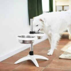 Frisco Adjustable Stainless Steel Double Elevated Dog Bowls 15 Frisco Adjustable Stainless Steel Double Elevated Dog Bowls -Cat Dog Supply Store 232097 PT8. AC SS1800 V1605740511