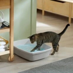 Frisco Micro Crystal Unscented Non-Clumping Crystal Cat Litter -Cat Dog Supply Store 232121 PT4. AC SS1800 V1659546416
