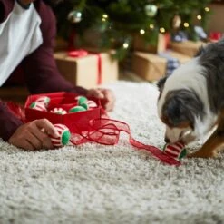 Frisco Holiday Wreath Fetch Squeaky Tennis Ball Dog Toy -Cat Dog Supply Store 233189 PT5. AC SS1800 V1601919657