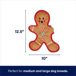 Frisco Holiday Gingerbread Man Flat Plush Squeaky Dog Toy -Cat Dog Supply Store 233241 PT1. AC SS1800 V1695043884