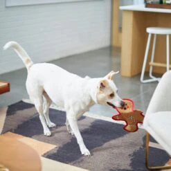 Frisco Holiday Gingerbread Man Flat Plush Squeaky Dog Toy -Cat Dog Supply Store 233241 PT2. AC SS1800 V1601311903