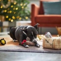 Frisco Holiday Fragile Box Hide & Seek Puzzle Plush Squeaky Dog Toy -Cat Dog Supply Store 233274 PT4. AC SS1800 V1665759767