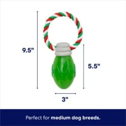 Frisco Holiday Christmas Light Rope With TPR Squeaky Dog Toy -Cat Dog Supply Store 233278 PT1. AC SS1800 V1695043797