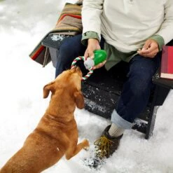 Frisco Holiday Christmas Light Rope With TPR Squeaky Dog Toy -Cat Dog Supply Store 233278 PT2. AC SS1800 V1601641574