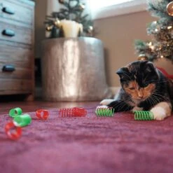 Frisco Holiday Springs Cat Toy, 10 Count 8 Frisco Holiday Springs Cat Toy, 10 Count -Cat Dog Supply Store 233307 PT2. AC SS1800 V1602172363
