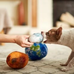 Frisco Earth, Mars, And Moon Plush Squeaky Dog Toy -Cat Dog Supply Store 233587 PT3. AC SS1800 V1600973771