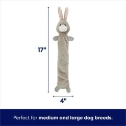 Frisco Bunny Bungee Plush Squeaky Dog Toy -Cat Dog Supply Store 233612 PT1. AC SS1800 V1691784031