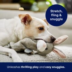 Frisco Bunny Bungee Plush Squeaky Dog Toy -Cat Dog Supply Store 233612 PT5. AC SS1800 V1691783971