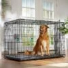 Frisco Heavy Duty Enhanced Lock Double Door Fold & Carry Wire Dog Crate & Mat Kit -Cat Dog Supply Store 233736 MAIN. AC SS1800 V1667229247