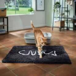 Frisco Microfiber Chenille Fish Bone Litter Mat -Cat Dog Supply Store 236242 PT3. AC SS1800 V1676556249